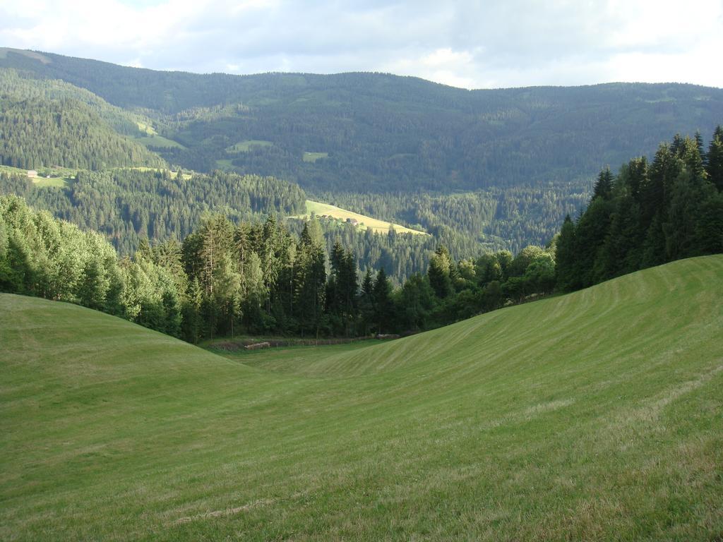 Ferienwohnung Lahnerhof Arriach Exteriör bild