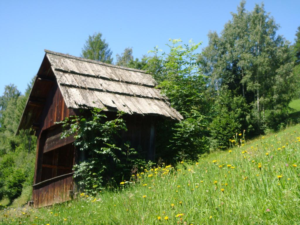 Ferienwohnung Lahnerhof Arriach Exteriör bild
