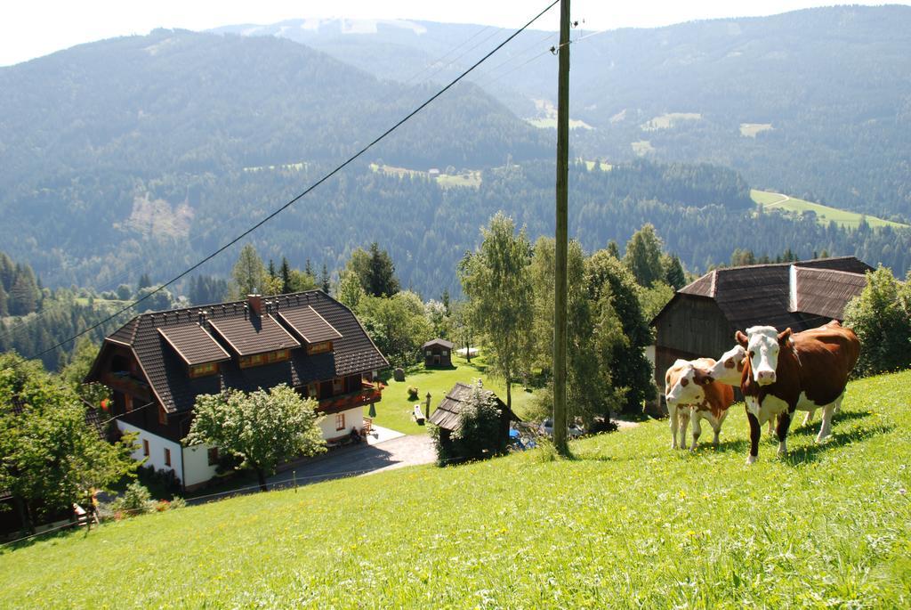 Ferienwohnung Lahnerhof Arriach Exteriör bild