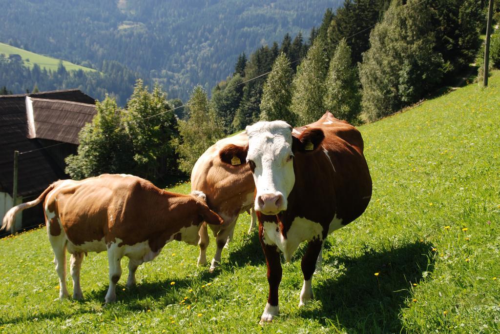Ferienwohnung Lahnerhof Arriach Exteriör bild
